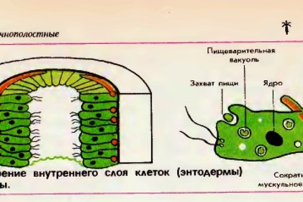 Кракен онион