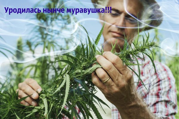 Кракен маркет даркнет слушать