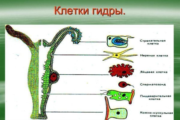 Покупки на кракене даркнет