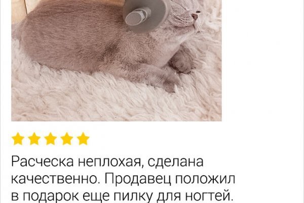 Свежие ссылки кракен