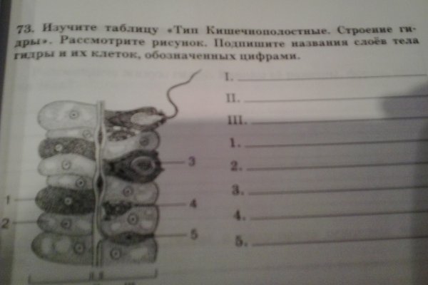Кракен вход