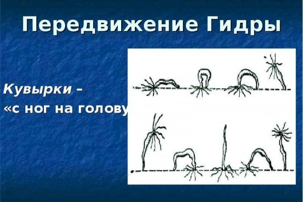 Kraken что это такое