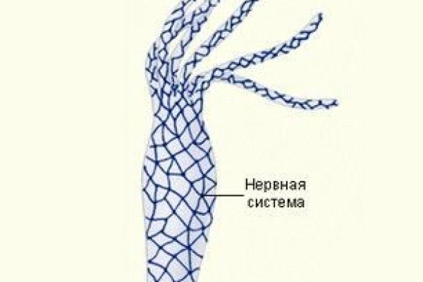 Кракен 20 at