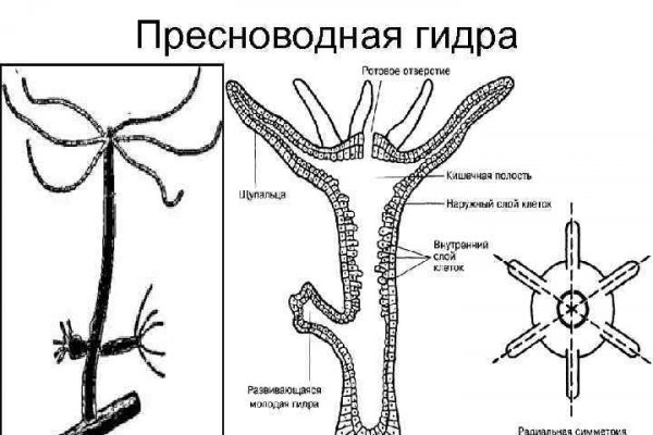 Через какой браузер зайти на кракен