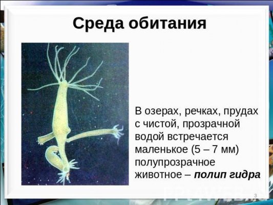 Кракен сайт даркнет