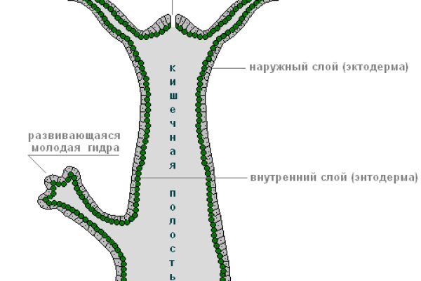 Даркнет заказ
